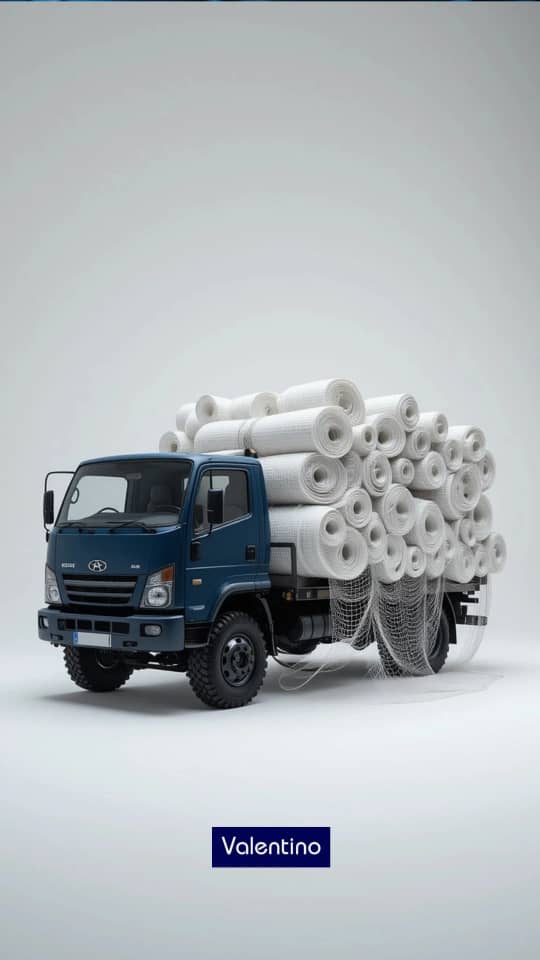 وال‌مش/ valentino